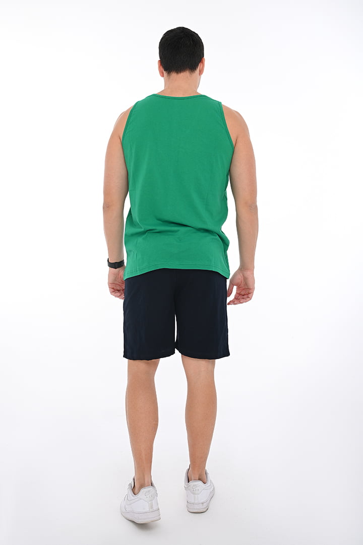 257 PRASINO 495 MAURO (3)